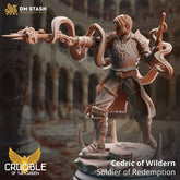 Cedric of Wildern - Soldier of Redemption 3D-printed model